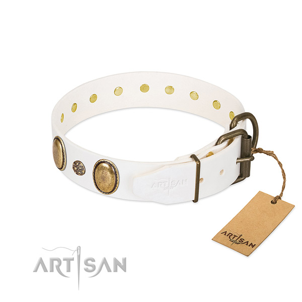 Walking top notch full grain genuine leather dog collar