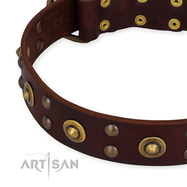 Full grain natural leather collar with reliable fittings for your lovely doggie