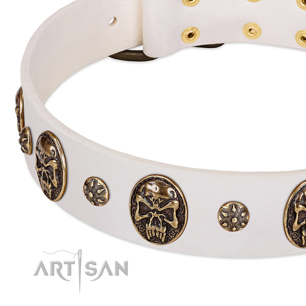 Corrosion resistant decorations on full grain natural leather dog collar for your doggie