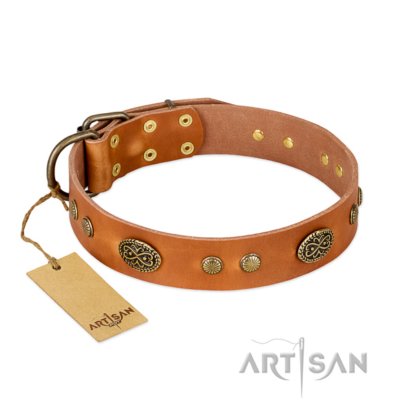 Durable studs on genuine leather dog collar for your canine