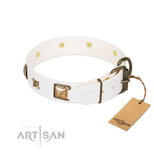 Full grain natural leather dog collar with durable hardware and studs