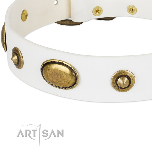 Corrosion resistant studs on leather dog collar for your canine