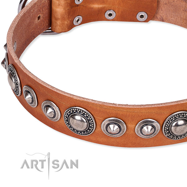 Fancy walking decorated dog collar of reliable full grain genuine leather