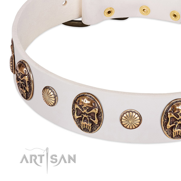 Reliable adornments on full grain leather dog collar for your doggie