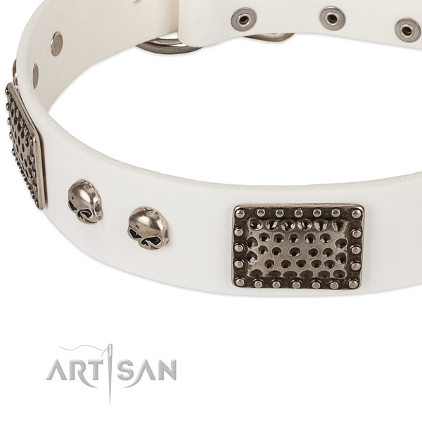 Corrosion resistant D-ring on leather dog collar for your pet