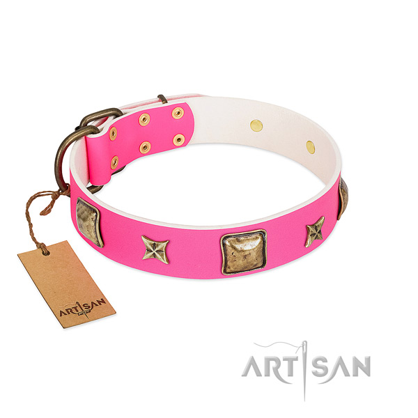 Leather dog collar of quality material with remarkable adornments
