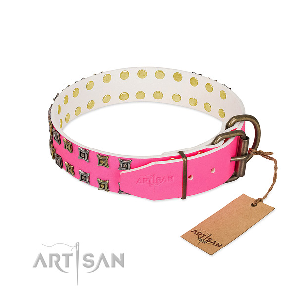 Full grain natural leather collar with amazing studs for your four-legged friend