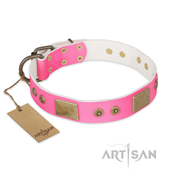 Easy adjustable leather dog collar for walking your doggie