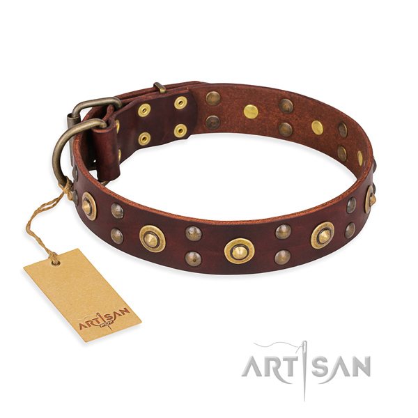 Impressive full grain natural leather dog collar with corrosion resistant traditional buckle