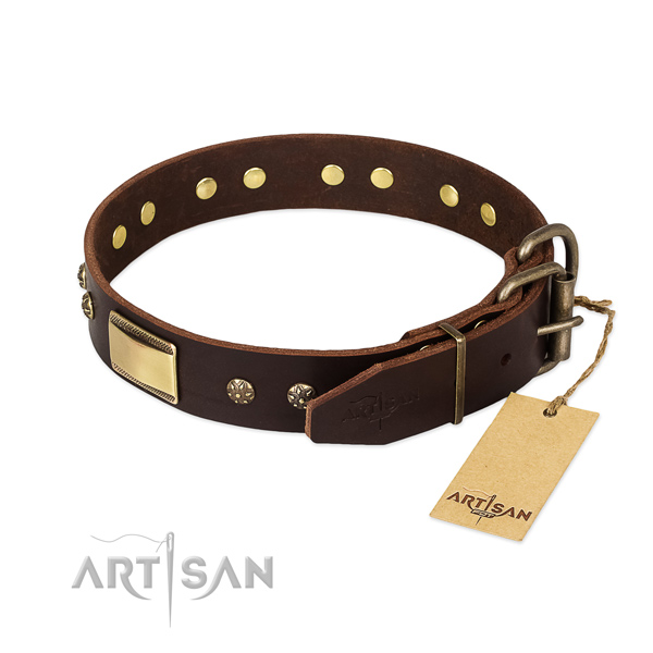 Studded genuine leather collar for your dog