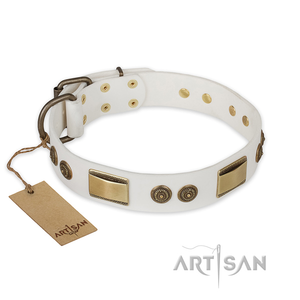 Handmade leather dog collar for stylish walking