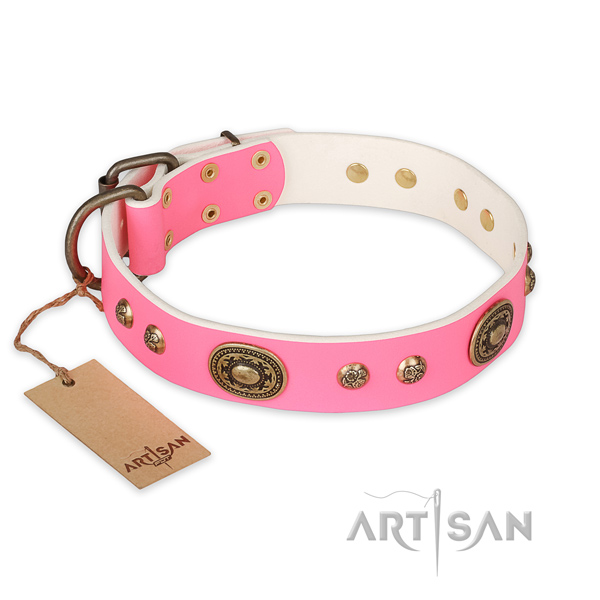 Exceptional leather dog collar for basic training