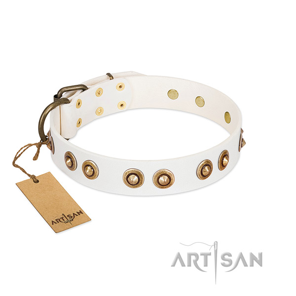 Perfect fit full grain natural leather collar for your four-legged friend
