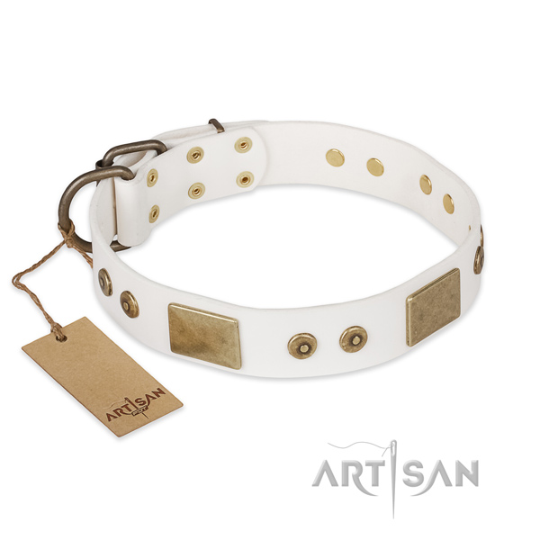 Incredible natural leather dog collar for stylish walking