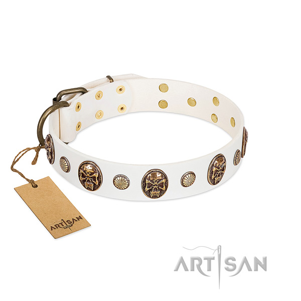 Top quality full grain leather dog collar for fancy walking