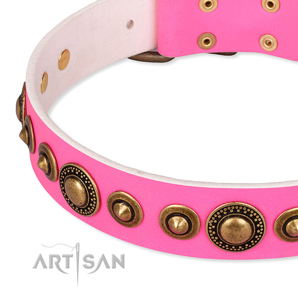 High quality leather dog collar created for your attractive doggie