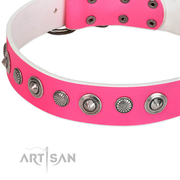Natural leather collar with rust resistant buckle for your beautiful four-legged friend