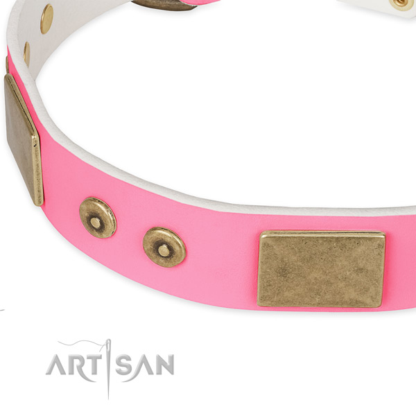 Full grain genuine leather dog collar with studs for walking
