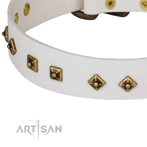 Inimitable full grain leather collar for your stylish canine