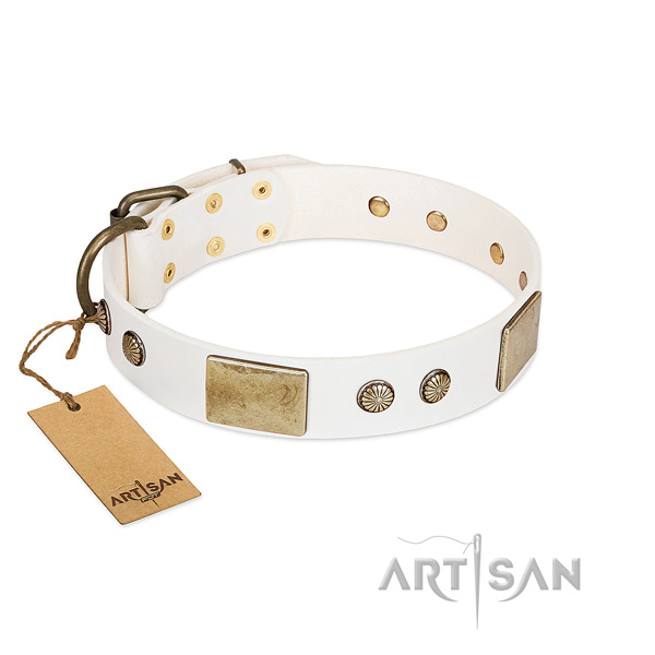 Easy wearing genuine leather dog collar for stylish walking your doggie