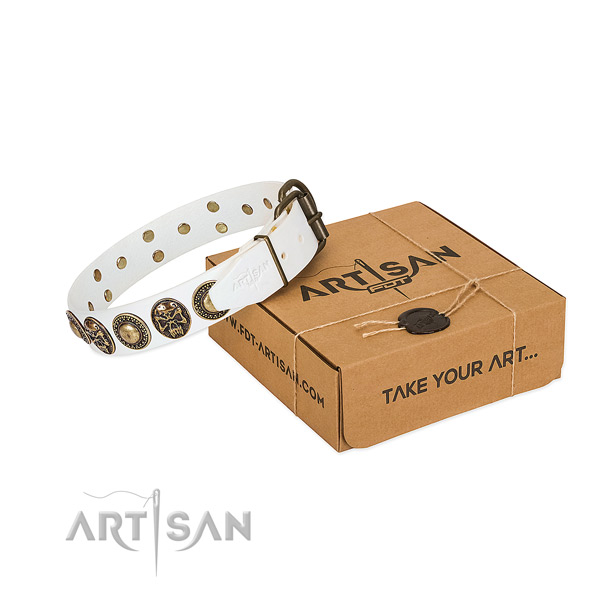 Durable traditional buckle on dog collar for daily use