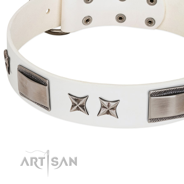 Best quality genuine leather dog collar with reliable D-ring