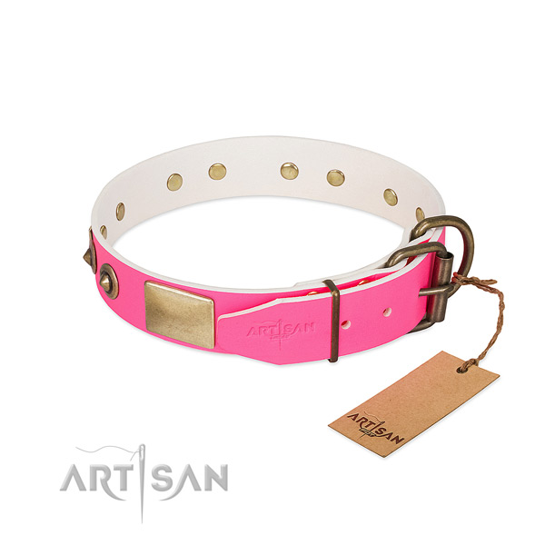 Rust resistant studs on leather dog collar for your canine