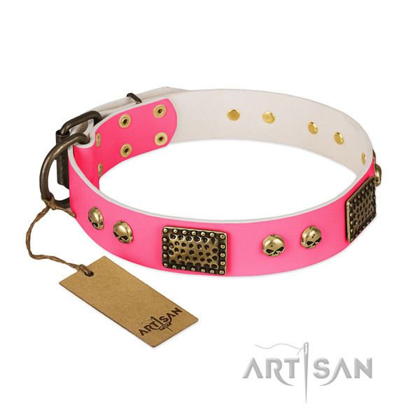 Easy wearing leather dog collar for walking your doggie