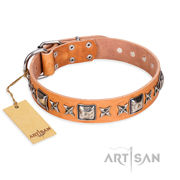 Daily walking dog collar of top quality full grain genuine leather with adornments