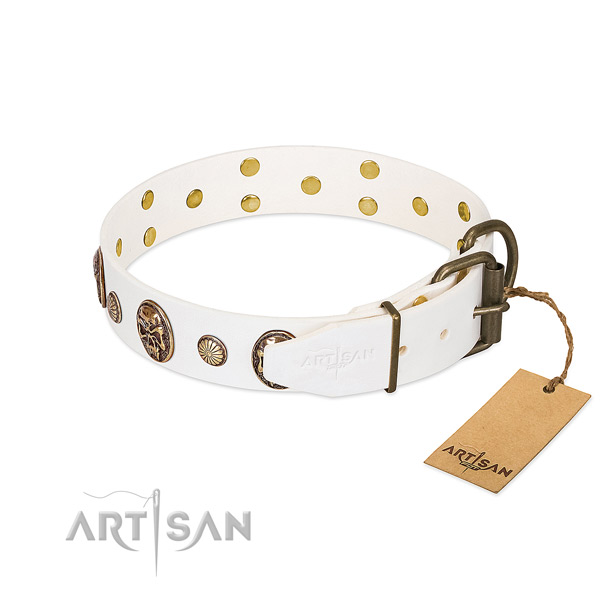 Rust-proof buckle on full grain natural leather collar for fancy walking your pet