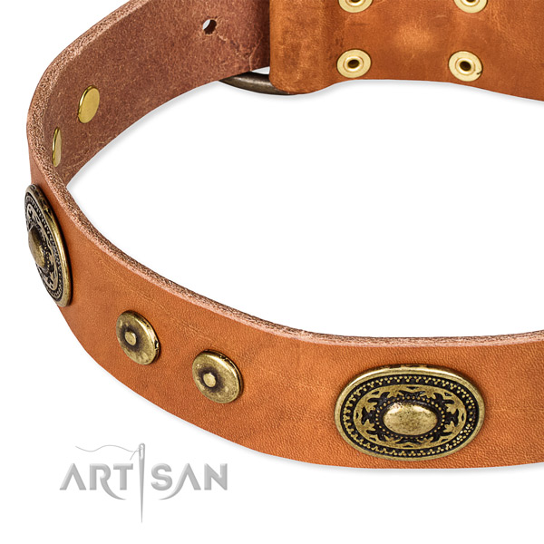 Full grain leather dog collar made of flexible material with studs