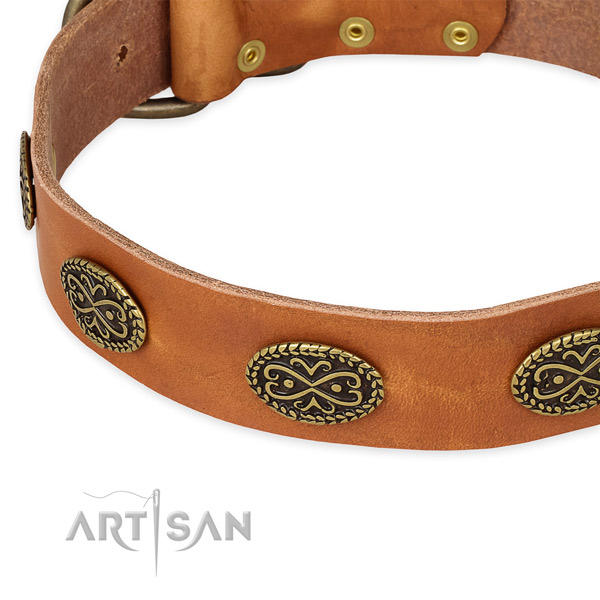 Studded natural genuine leather collar for your lovely doggie