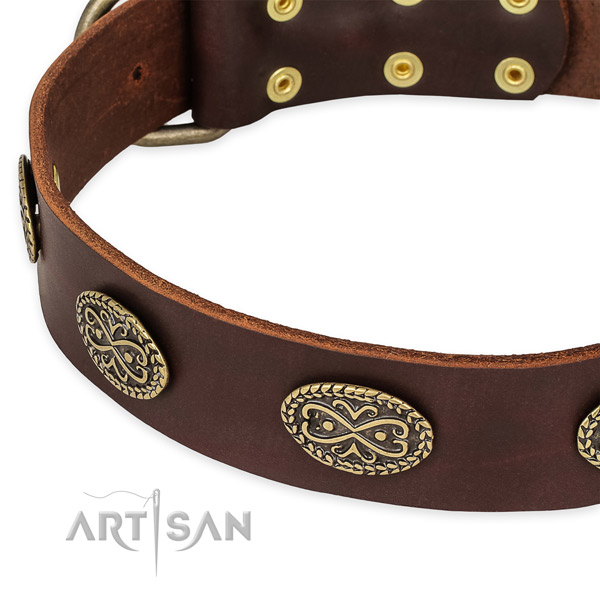 Top notch full grain leather collar for your attractive canine