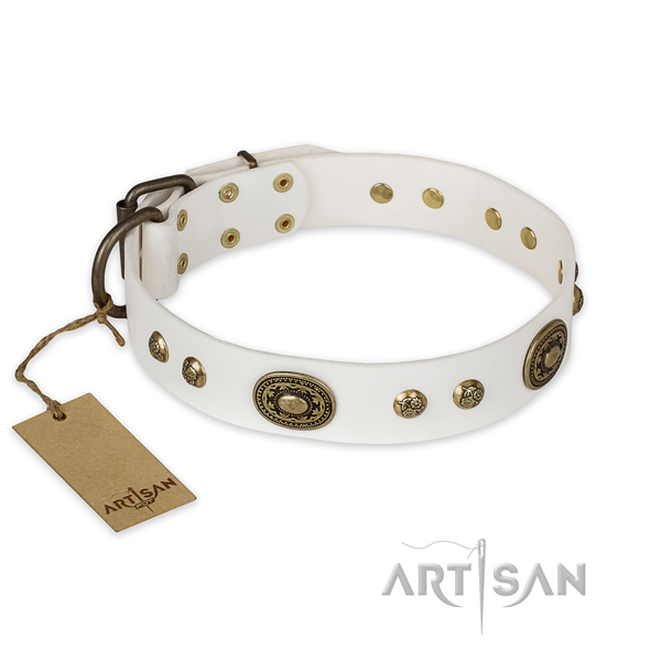 Stylish leather dog collar for daily use