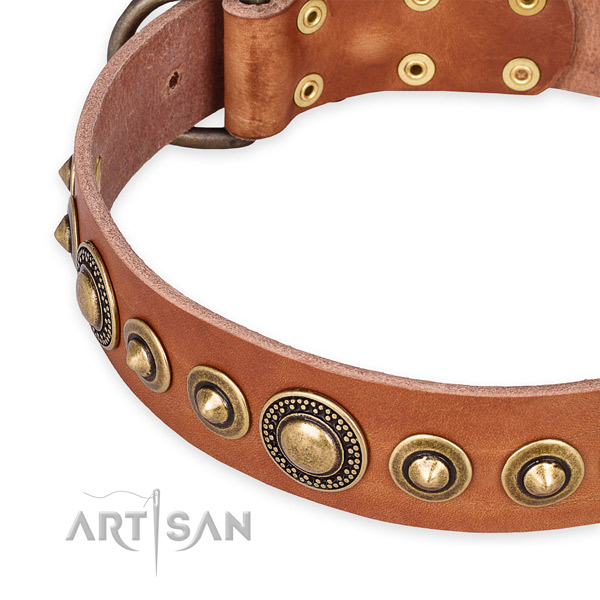 Strong full grain natural leather dog collar created for your attractive four-legged friend