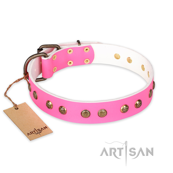 Incredible natural genuine leather dog collar with rust resistant fittings