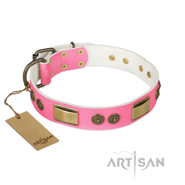 Unusual genuine leather dog collar for walking