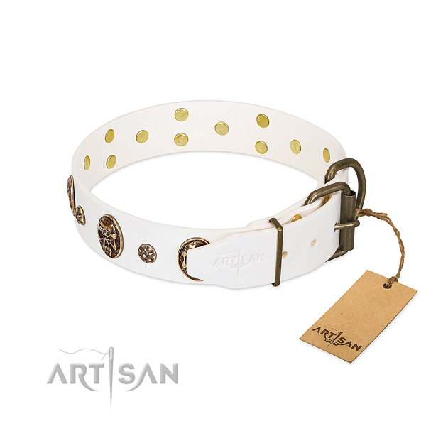 Strong buckle on genuine leather dog collar for your dog