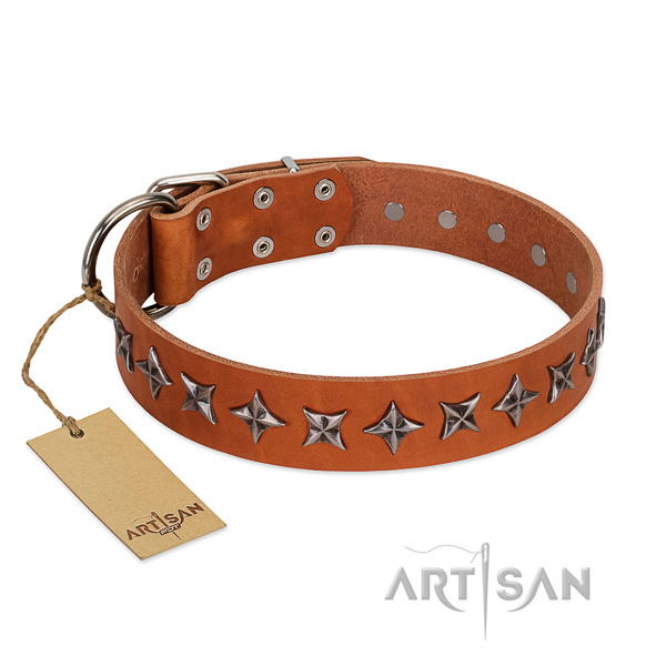 Everyday walking dog collar of top notch full grain genuine leather with decorations