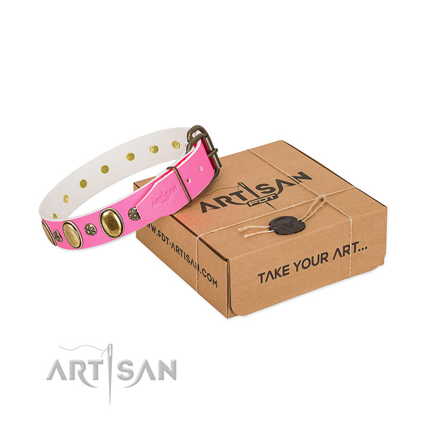 Top rate genuine leather dog collar with durable D-ring
