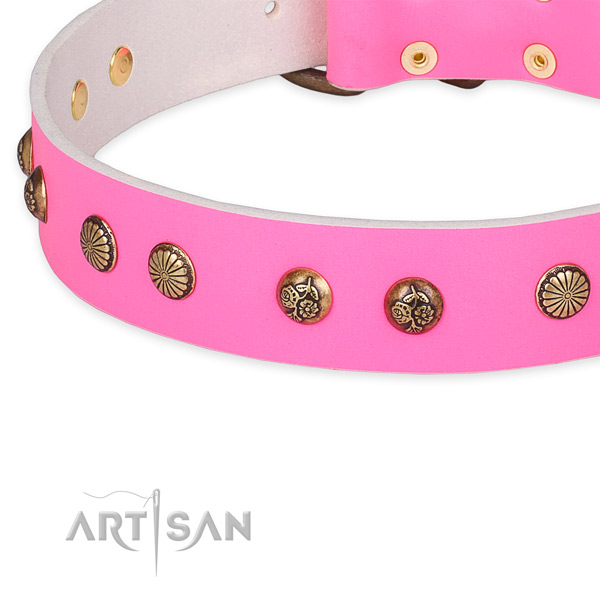 Full grain leather collar with strong buckle for your beautiful four-legged friend