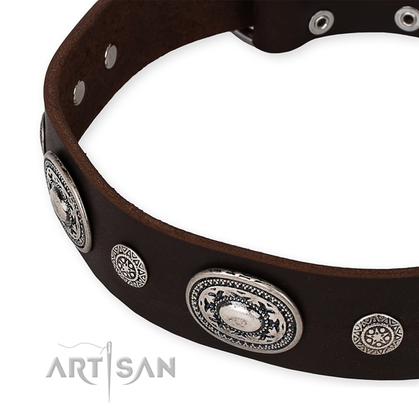 Top rate full grain genuine leather dog collar handmade for your handsome canine