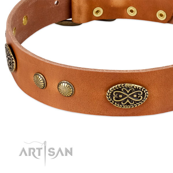 Rust resistant embellishments on full grain genuine leather dog collar for your doggie