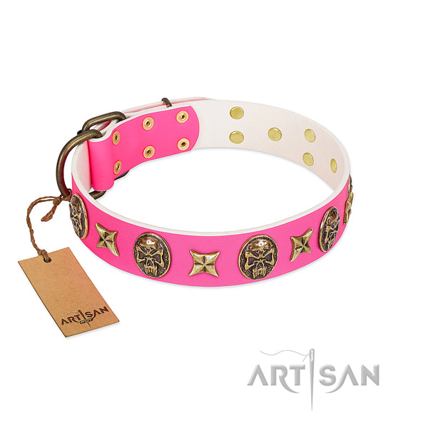 Leather dog collar with reliable studs