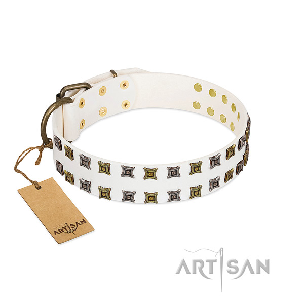 Reliable full grain natural leather dog collar with studs for your doggie