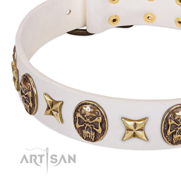 Full grain leather dog collar with reliable fittings
