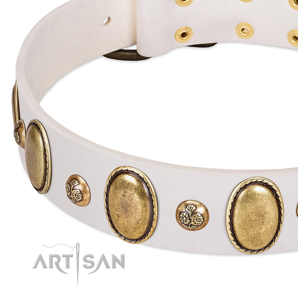 Full grain leather dog collar with top notch adornments