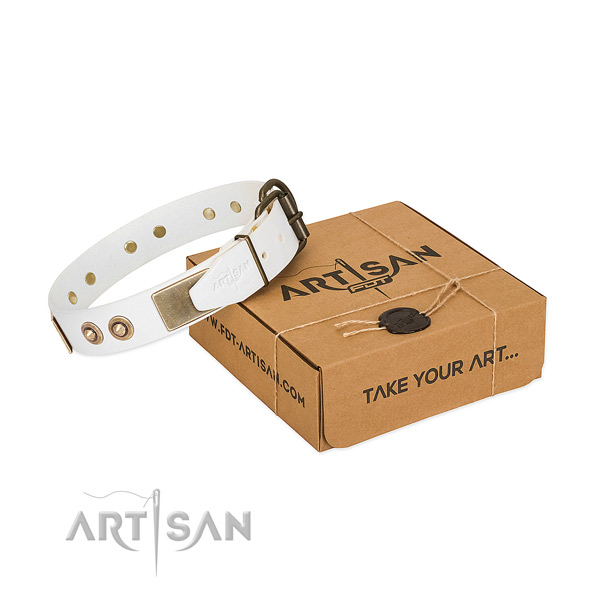 Rust-proof embellishments on leather dog collar for your four-legged friend
