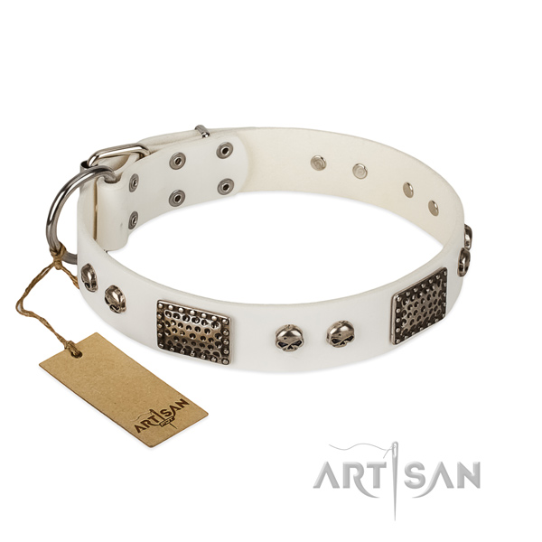 Easy to adjust full grain genuine leather dog collar for stylish walking your doggie