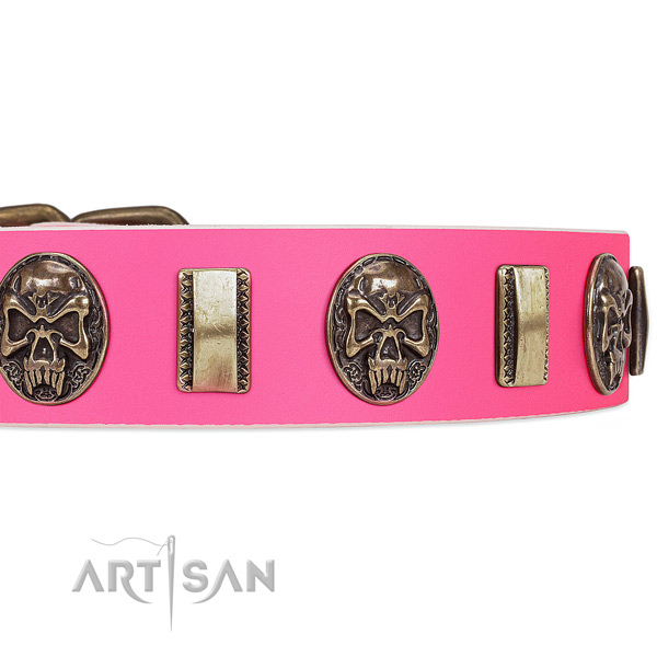 Reliable decorations on genuine leather dog collar for your doggie